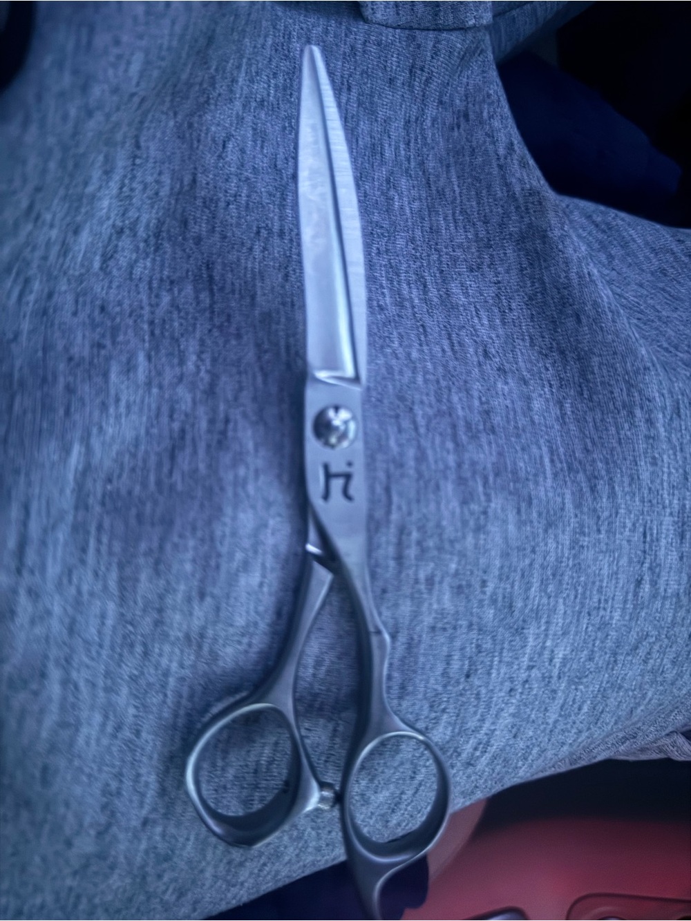 Hattori Hanzo Professional Stainless Hairdressing Scissors - Silver